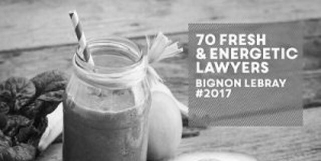 Bignon Lebray vous présente ses meilleurs voeux pour 2017