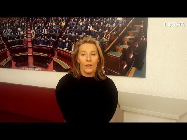 vignette youtube
